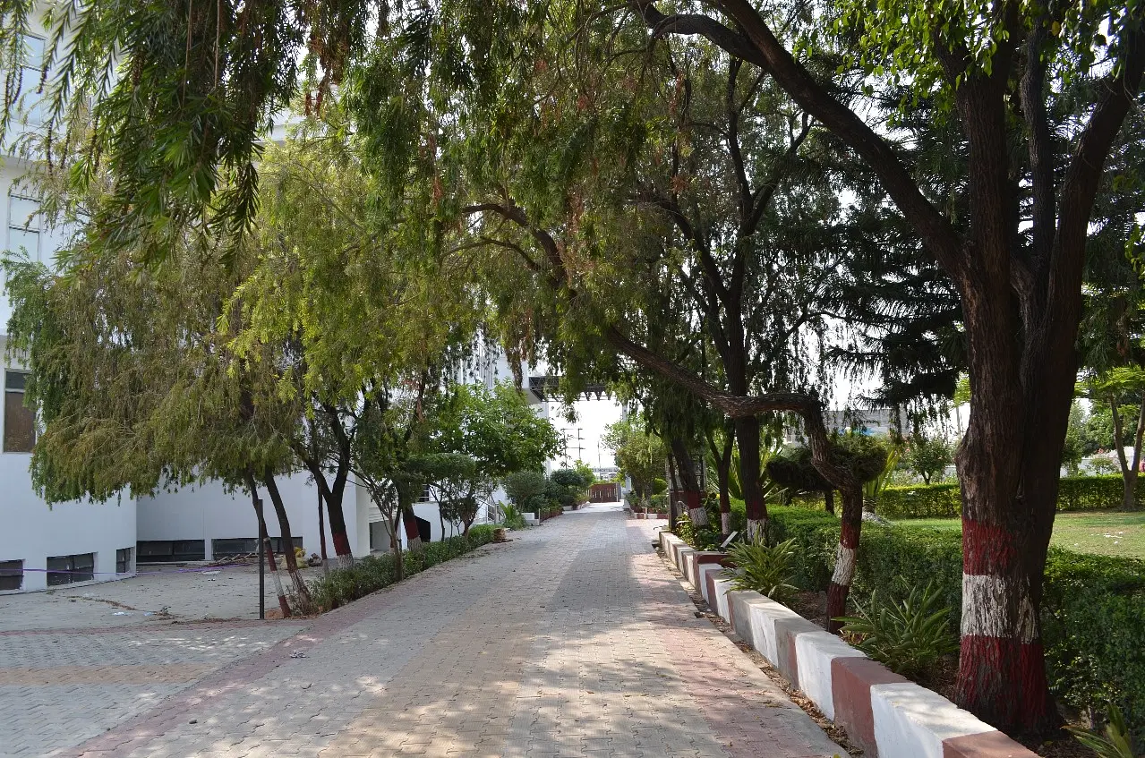 Uttaranchal Dental College Rankings